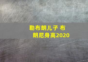 勒布朗儿子 布朗尼身高2020